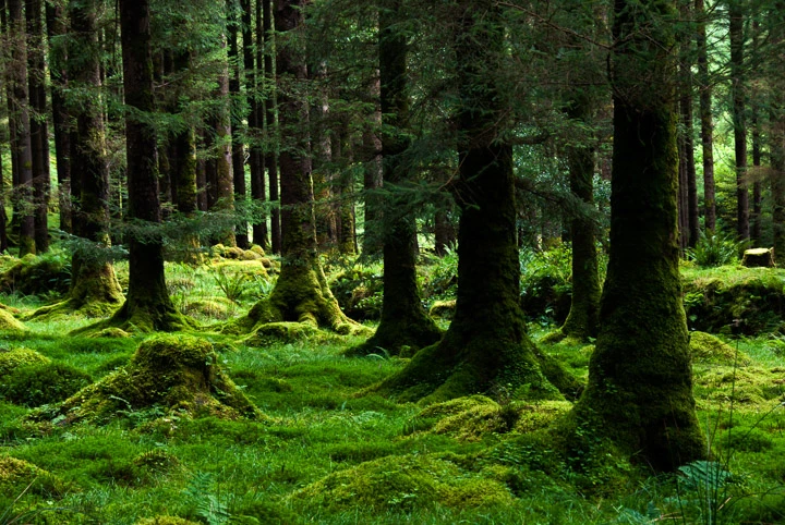 Irland